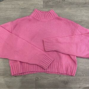 Aritzia Sweater